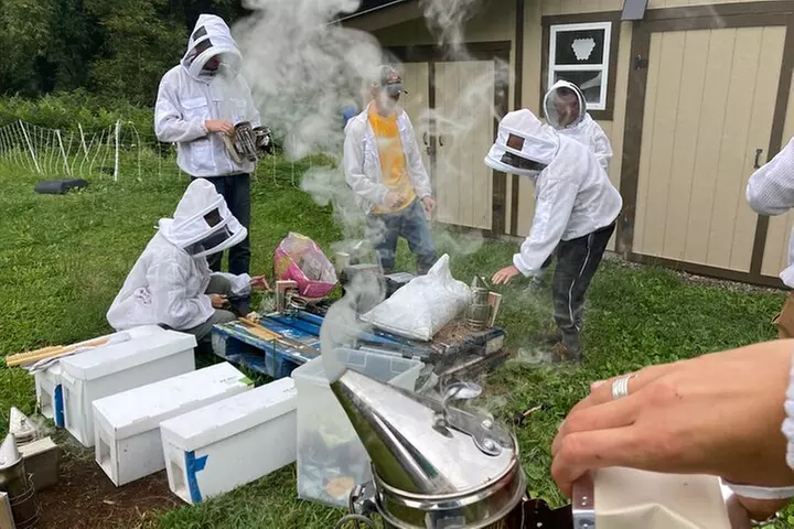 Private 2-Hour Beekeeping Classroom Tour in Honokaa