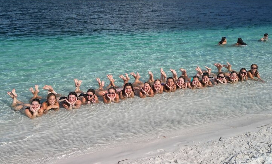 Image 17: Dingos 2 Day K'Gari (Fraser Island) 4WD Tag-Along Tour