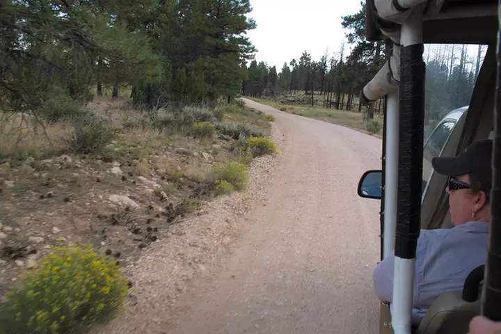 3 Hour Back-Road Safari to Grand Canyon with Entrance Gate By-Pass ...
