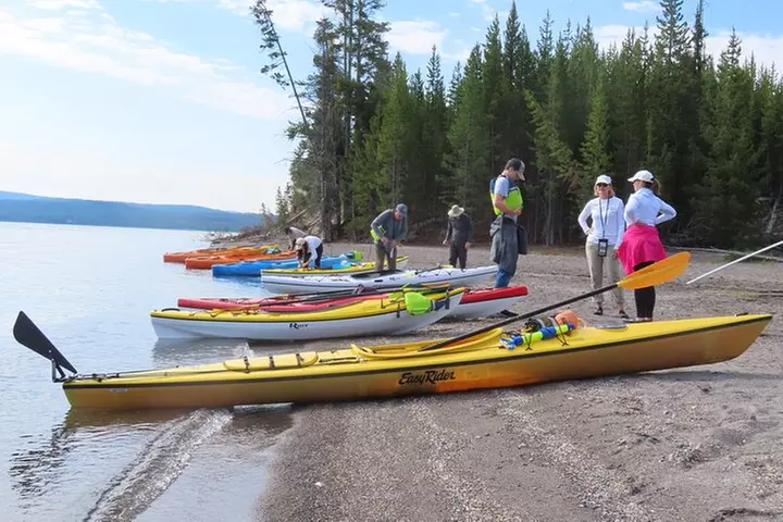 4-Hour Kayak on Yellowstone Lake with Lunch