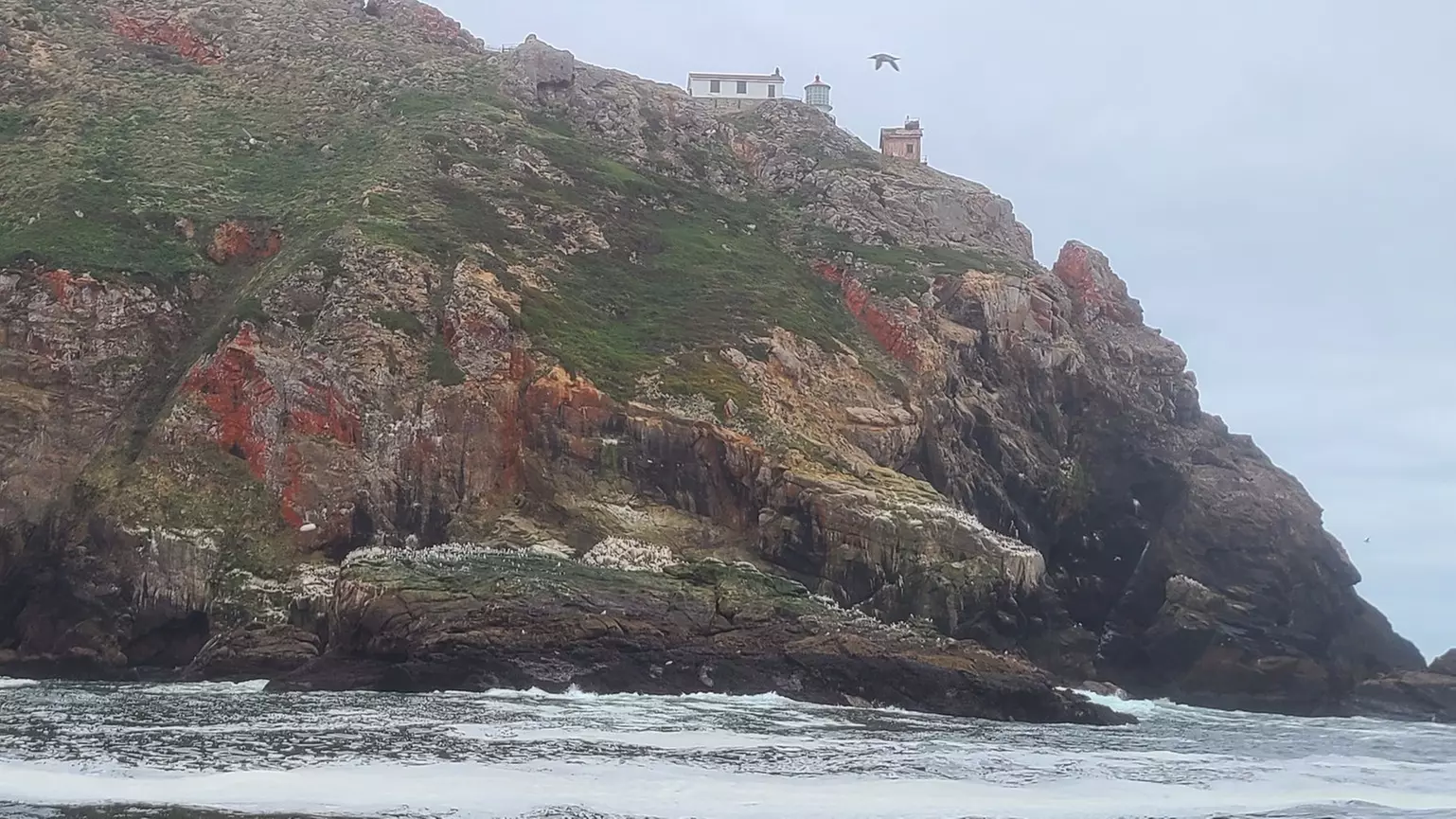 Full-Day Bodega Bay Fishing Charter - Second Medium
