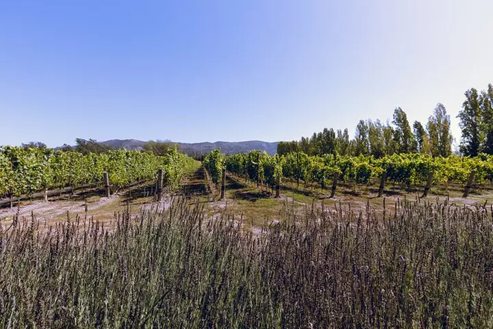 PRIVATE Luxury Transportation Experience - Sonoma