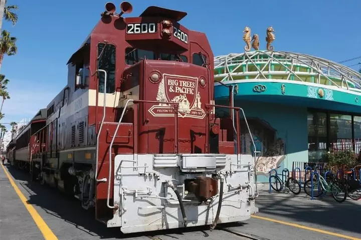 Redwood Forest, Santa Cruz Harbor 1-Day Trip from San Francisco