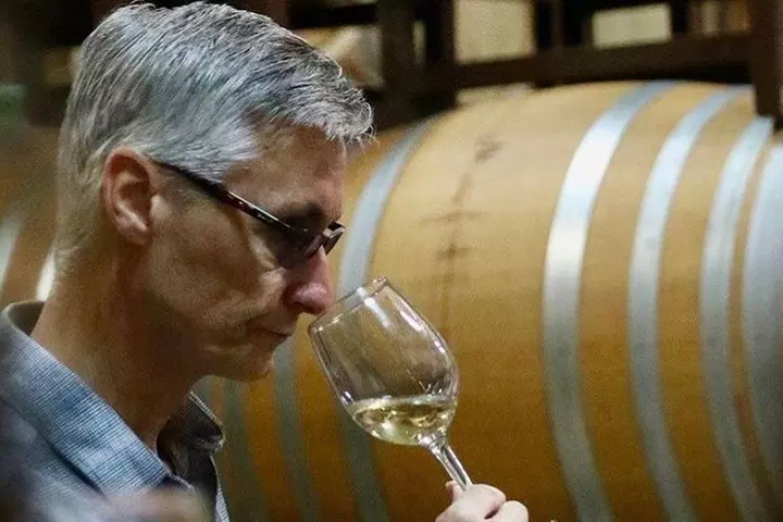 Small Group Napa and Sonoma Half-Day Wine Tour from San Francisco