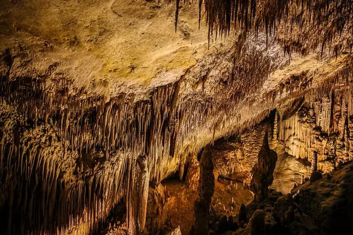 Medio Día a las Cuevas del Drach con Paseo en Barco y Concierto.