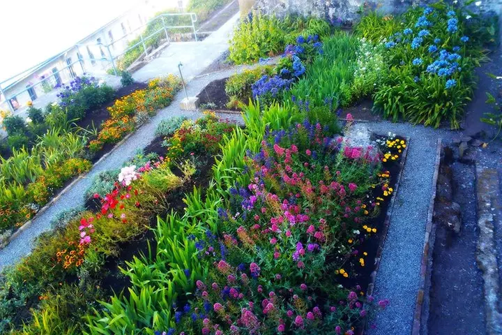 Alcatraz Tour And Golden Gate bridge To Sausalito Bike Tour
