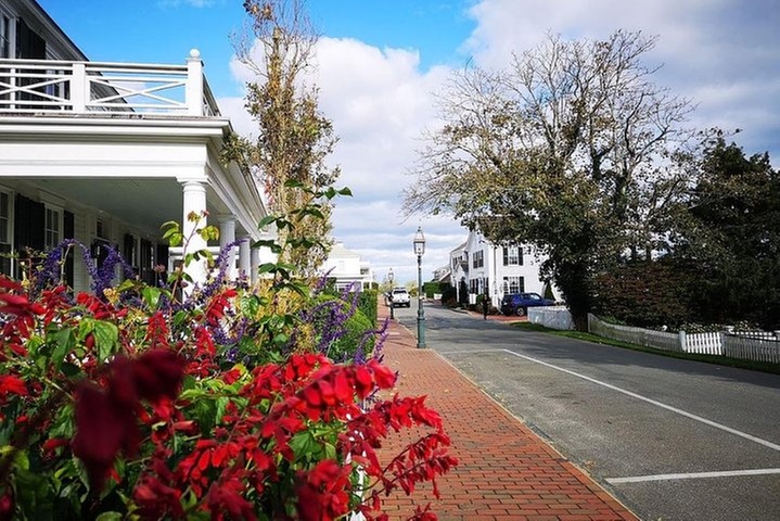 3-Hour Martha's Vineyard Island Tour from Oak Bluffs