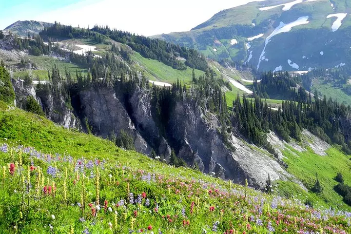 Ultimate Mount Rainier National Park Self-Guided Driving Tour