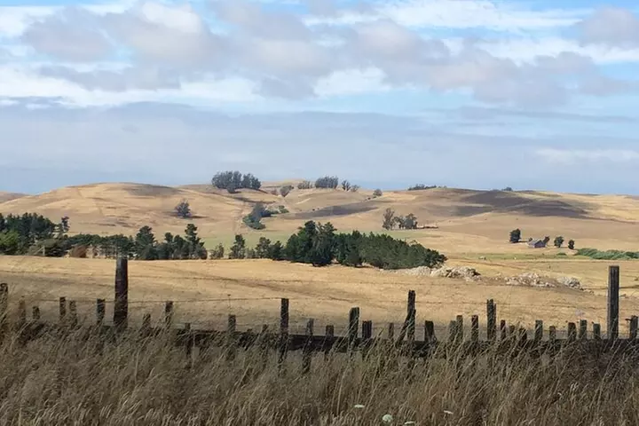 Cow Heaven: A Self-Guided Driving Tour from Point Reyes Seashore to...