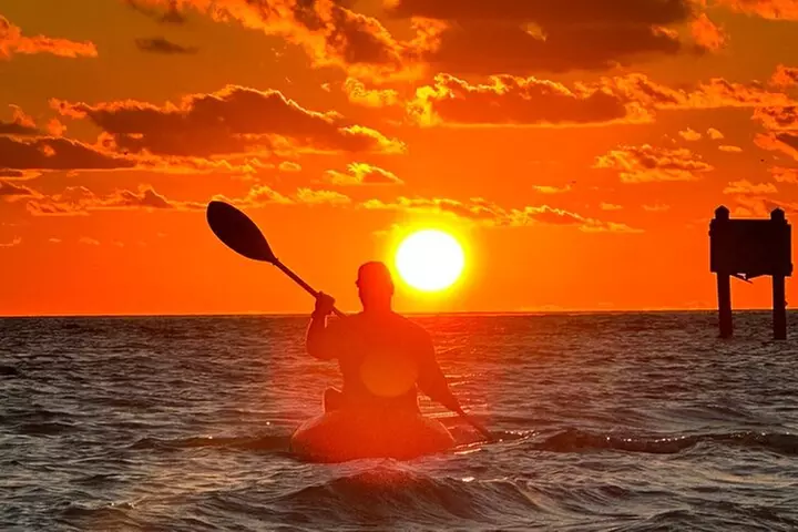 Sunset Kayaking with Dolphins