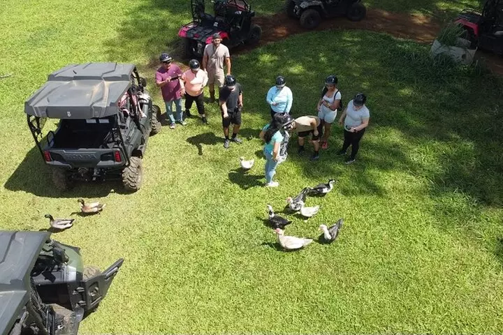 Waipi'o on Horseback: Mountain Ocean Views Working Cattle Ranch