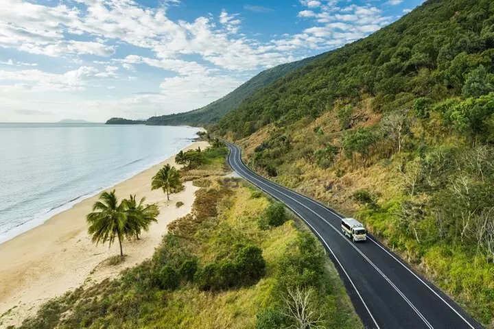 Daintree Rainforest and Cape Tribulation Full Day Tour