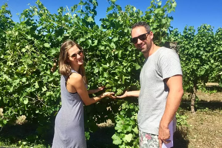 Margaret River Beer & Wine Adventure (departs Margaret River)