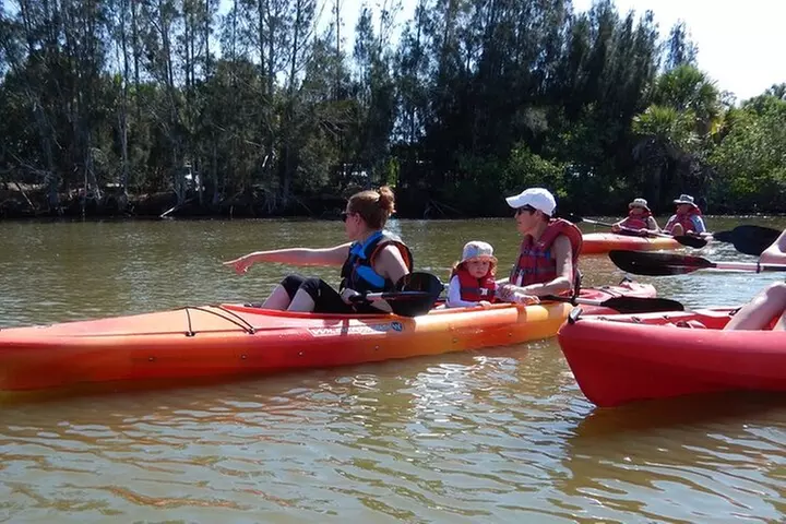 Manatee and Dolphin Kayaking Encounter