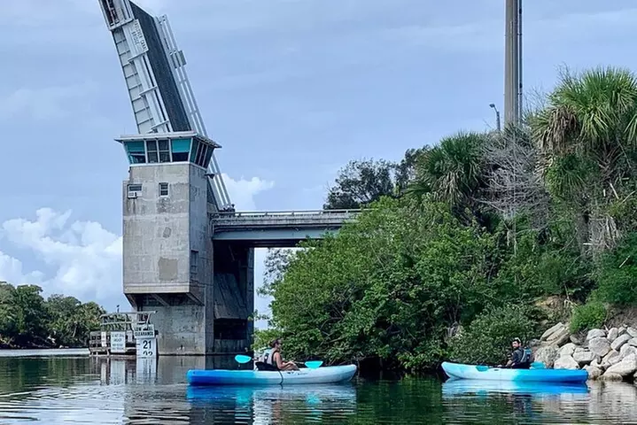 Wildlife Refuge Manatee, Dolphin & Mangrove Kayak or Paddleboarding...