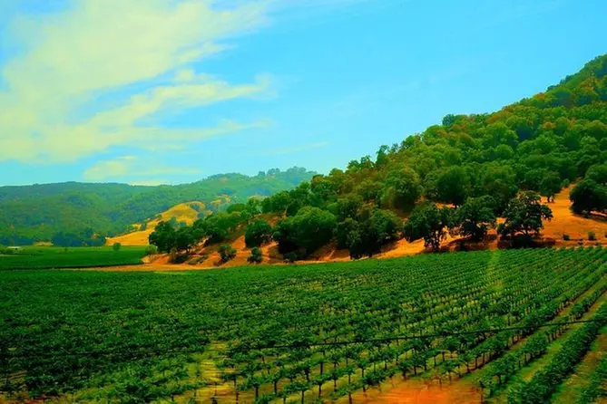 Napa and Sonoma Valley Wine Country Tour from San Francisco - Primary Image