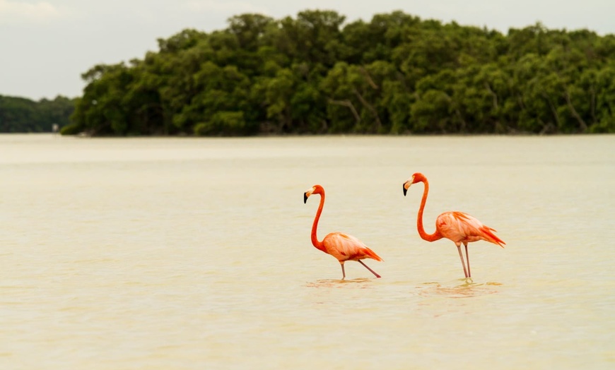 Image 12: ✈ MEXIQUE | Playa del Carmen - Balade yucatèque avec possibilité d'...