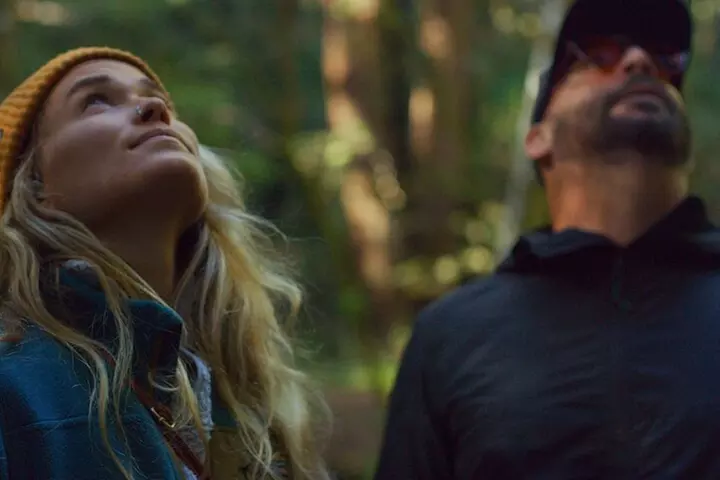 Redwoods Forest Bathing