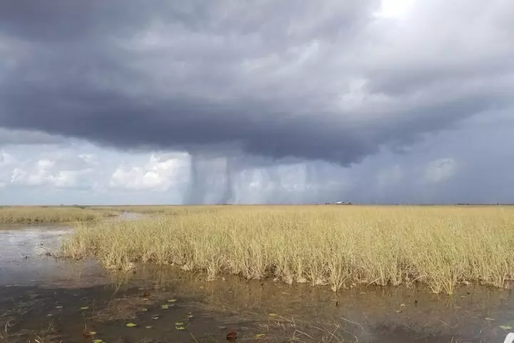 Everglades Florida Airboat Tour