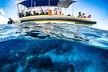 Ultimate 4 Hour Lanai Snorkel and Dolphin Encounter - Second Medium