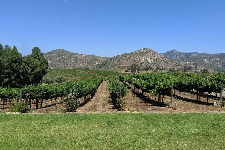Chauffeured Vineyard Adventure to local San Diego vineyards - Primary Image
