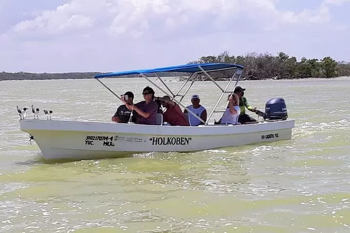 Nature Tour at Las Coloradas and Rio Lagartos Biosphere