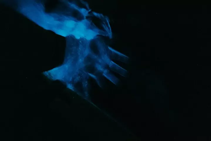 Thousand Islands Bioluminescent Kayak Tour with Cocoa Kayaking!