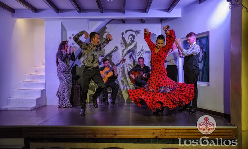 Image 5: Entrada al espectáculo flamenco de Los Gallos