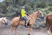 Las Vegas Horseback Riding Adventure - Second Medium