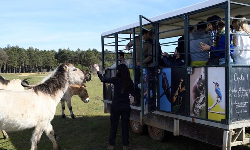Image 6: Visita Paleolítico Vivo 4x4