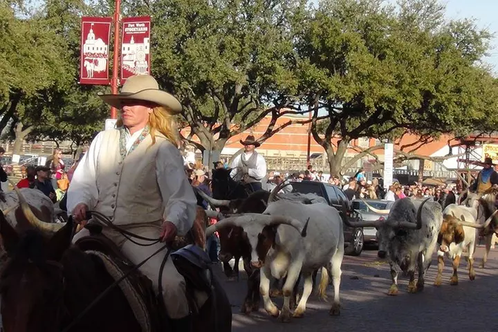 Dallas and Fort Worth City Sightseeing Tour Small-Group