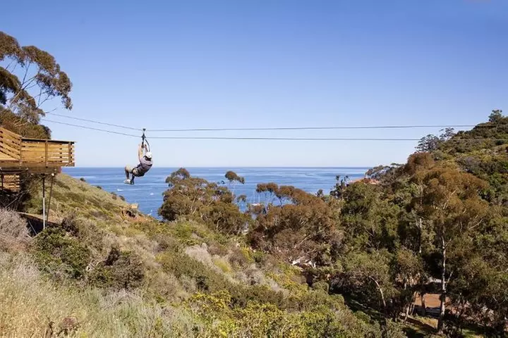 Catalina Island Zip Line Eco Tour