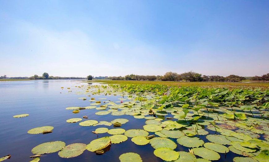 Image 7: Jumping Crocs & Nature Adventure Cruise from Darwin