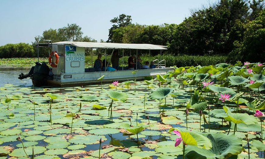 Image 5: Corroboree Billabong Wetland Cruises - 1.5 hour Morning cruise