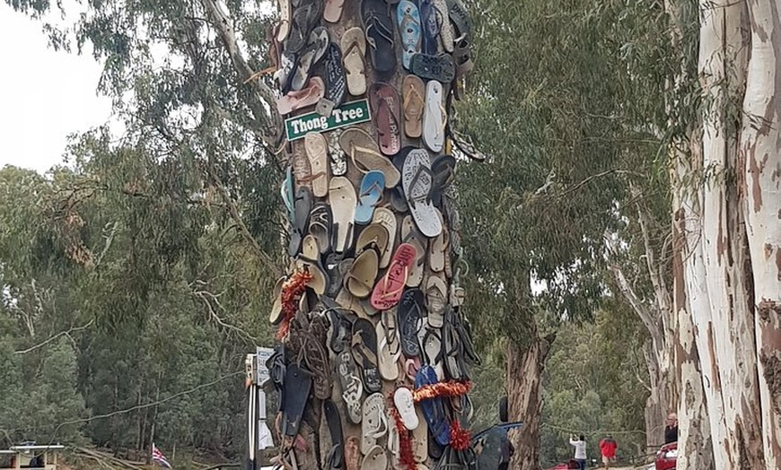 Image 28: Bendigo, Echuca & The Mighty Murray