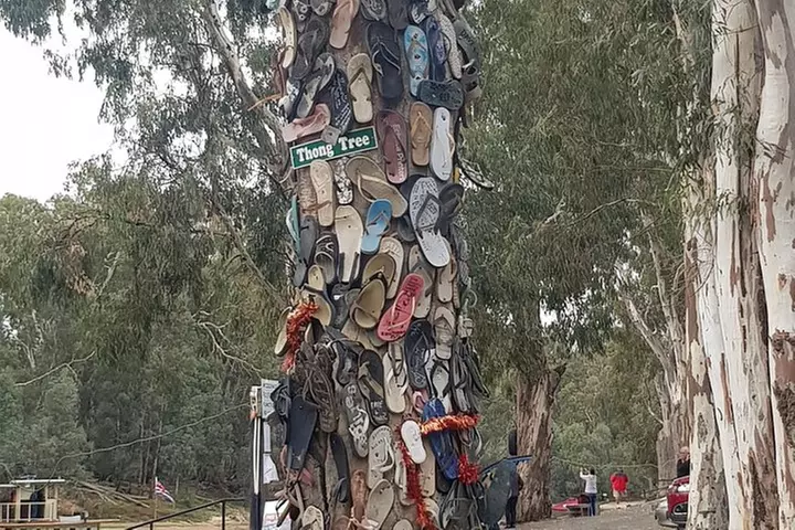 Bendigo, Echuca & The Mighty Murray