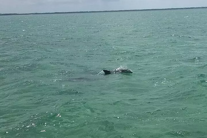 Biscayne National Park Island Visit and Park History, Coconut Gr - Second Medium