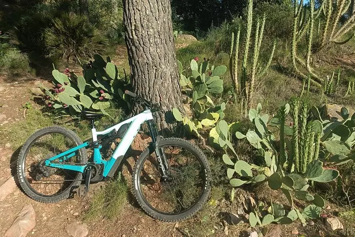 Valencia: Tour de montaña en bicicleta eléctrica con recogida en el...