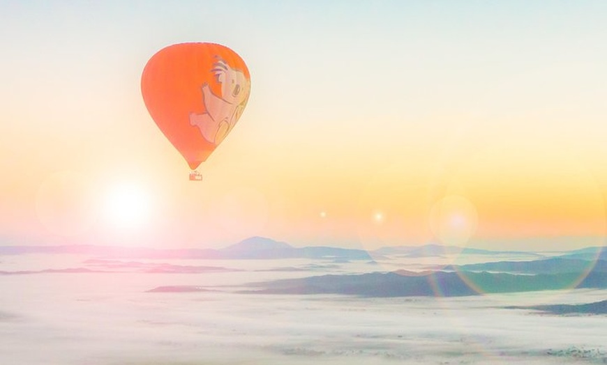 Image 9: Cairns Classic Hot Air Balloon ride