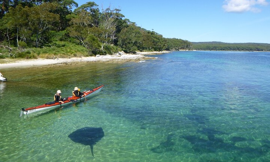 Image 11: Half-Day Jervis Bay Sea Kayak Tour