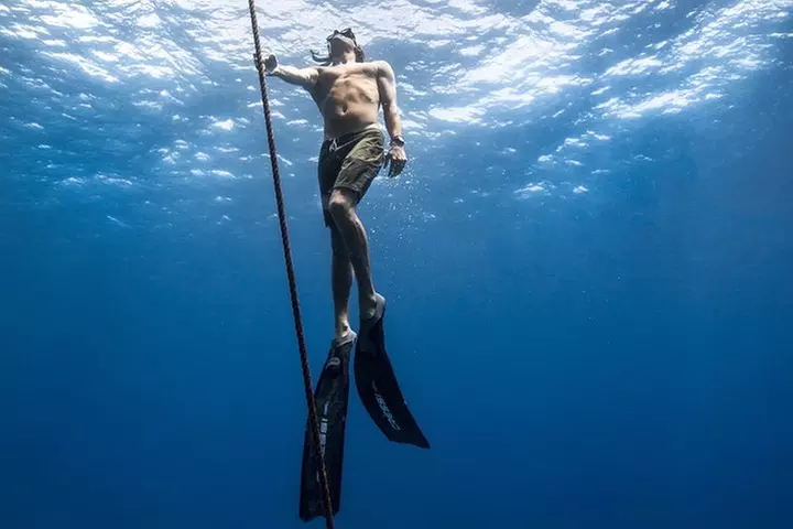 Kaimana Ocean Safari