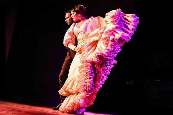 Visita guiada Segovia y Ávila y espectáculo flamenco en Madrid