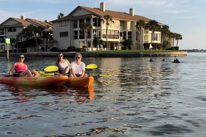 Sunset Kayaking with Dolphins