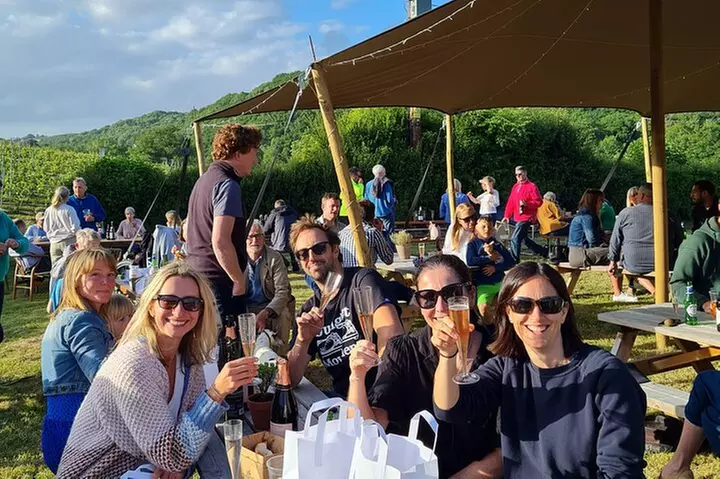 1.5-Hour Swanaford Vineyard Tour And Tasting Experience