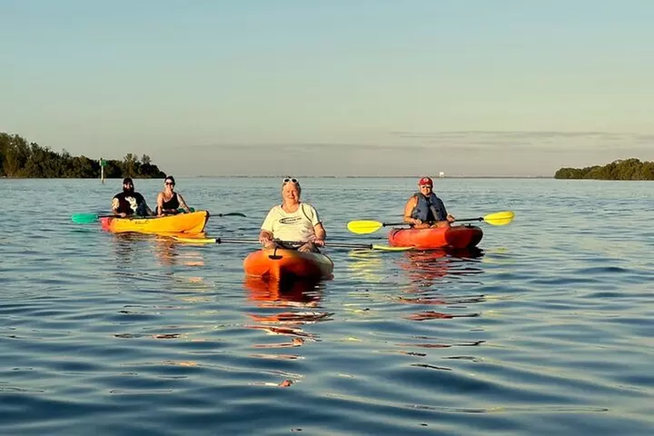 Sunset Kayaking with Dolphins