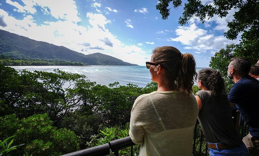 Image 12: Total Daintree Experience Tour from Port Douglas