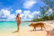 Swimming Pigs and Pearl Island Beach Escape - Second Medium