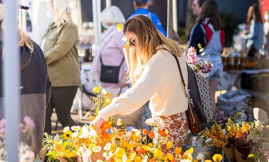 Image 7: Hop on Hop off - Tamborine Rainforest Skywalk + Glow Worm Caves