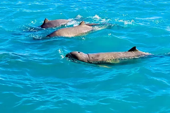 SCENIC AND PREHISTORIC CRUISE - Sparkling Wine & Gourmet Platters