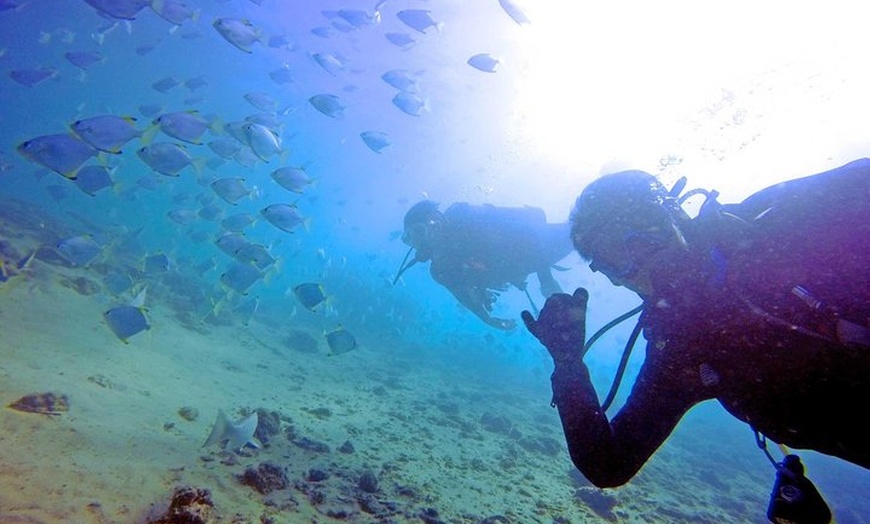 Image 31: Wave Break Island Snorkel Tour on the Gold Coast